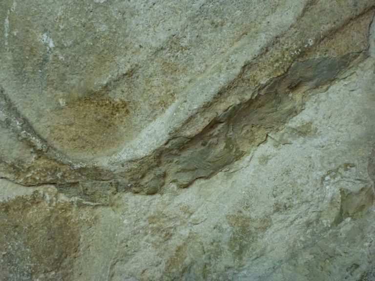 Stuccatura a cemento. Particolare